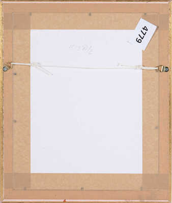 Митрохин Дмитрий Исидорович. Канны